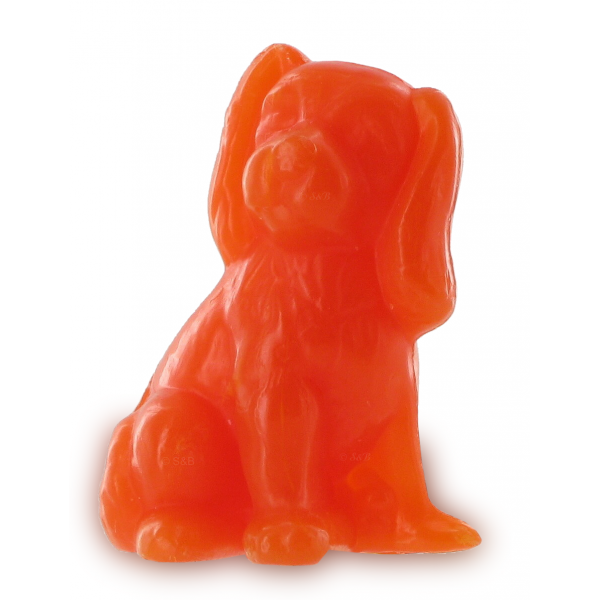 Savons invité chien abricot lot de 12 x 30 g